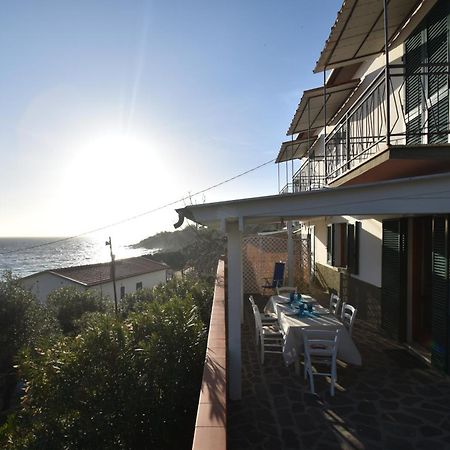 Appartamenti Cavoli - Vista Mare Con Terrazze, Clima E Posti Auto Spiaggia di Cavoli Экстерьер фото